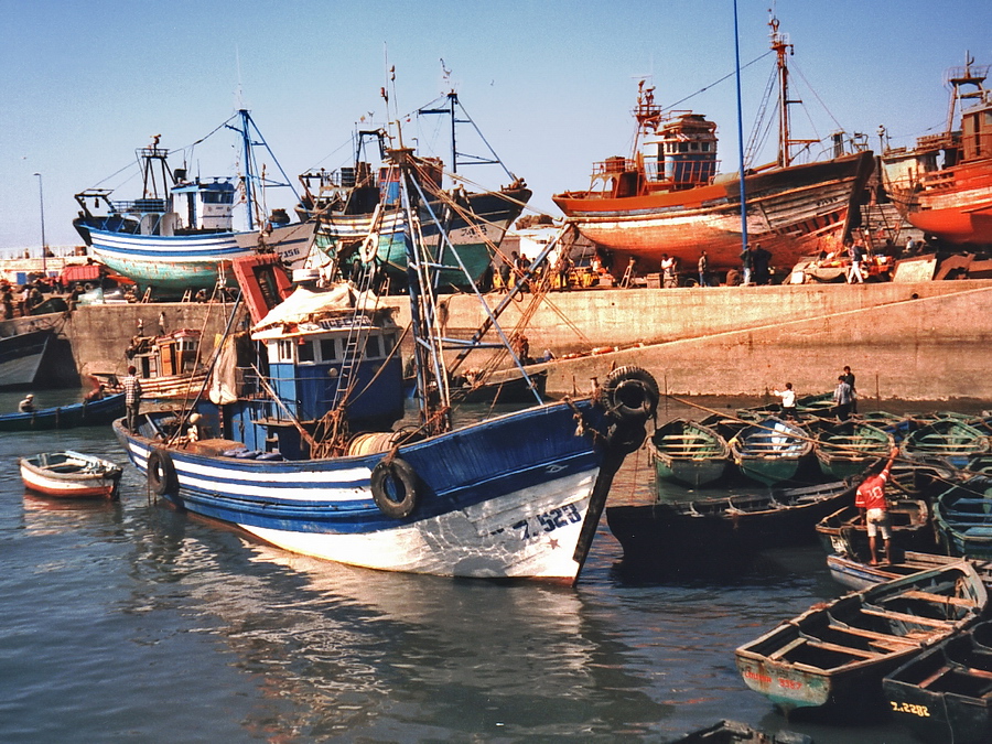 Essouira - Fishing port  Stefan Cruysberghs
